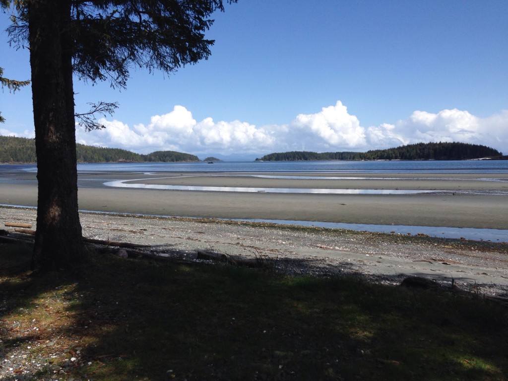 Bear Cove Cottages Wicked Salmon Fishing Charters Gallery Port Hardy