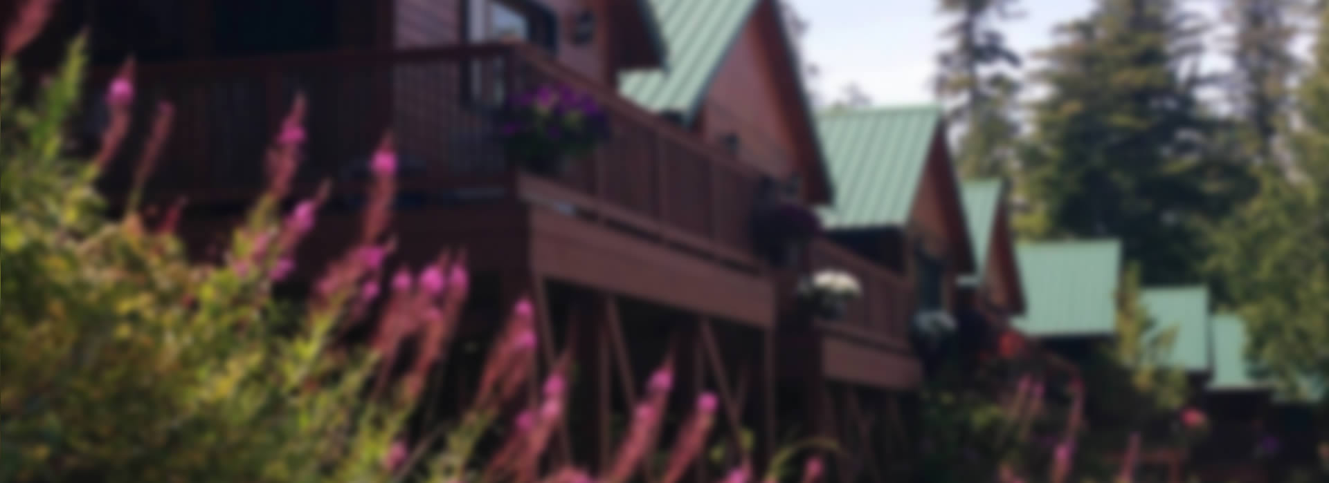 Bear Cove Cottages Accommodations Port Hardy Vancouver