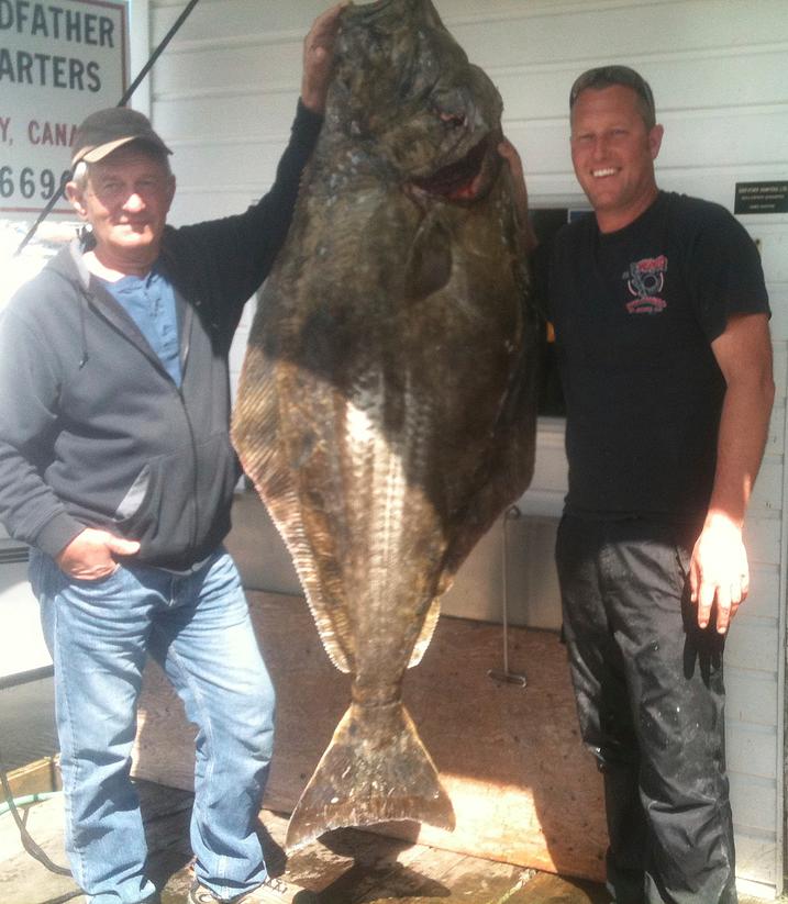 Halibut Fishing Charters, Port Hardy, Vancouver Island