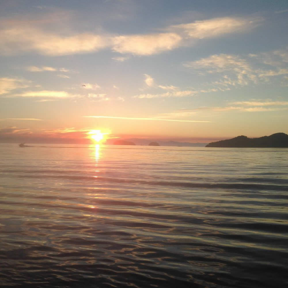 Bear Cove Cottages And Wicked Salmon Sport Fishing Charters - Something For Everyone!